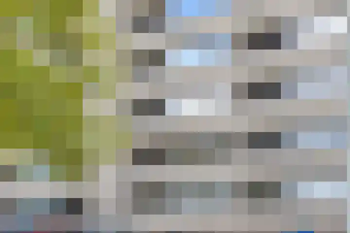 Penelopestraat 73 Eindhoven thumbnail 18