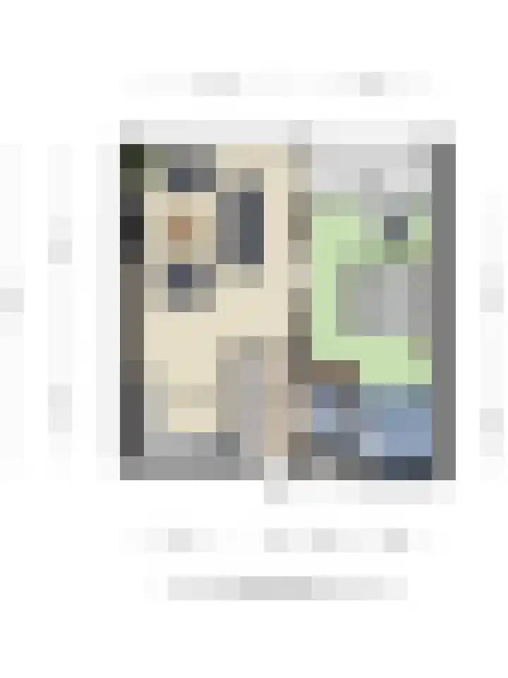 Penelopestraat 73 Eindhoven thumbnail 20