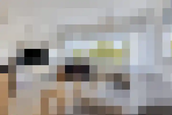Penelopestraat 73 Eindhoven thumbnail 5