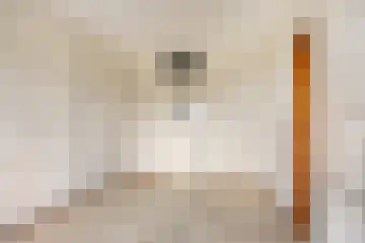 Penelopestraat 75 Eindhoven thumbnail 22