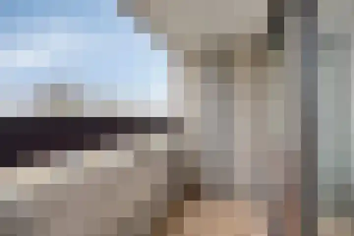 Penelopestraat 75 Eindhoven thumbnail 28