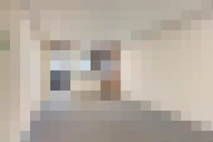 Penelopestraat 75 Eindhoven thumbnail 33