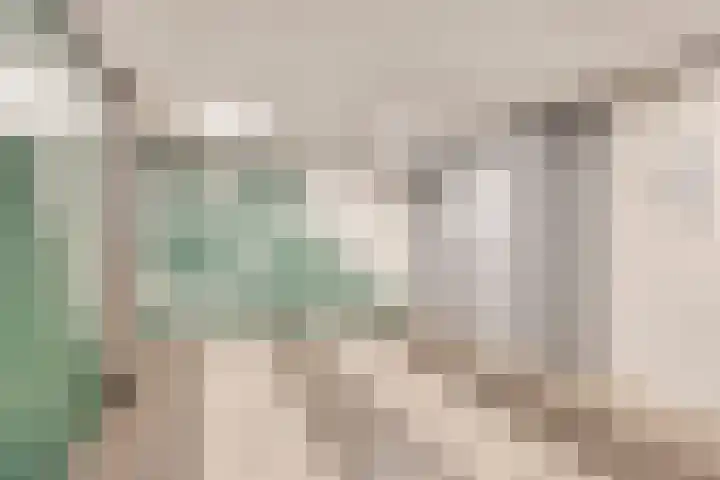 Penelopestraat 75 Eindhoven thumbnail 35