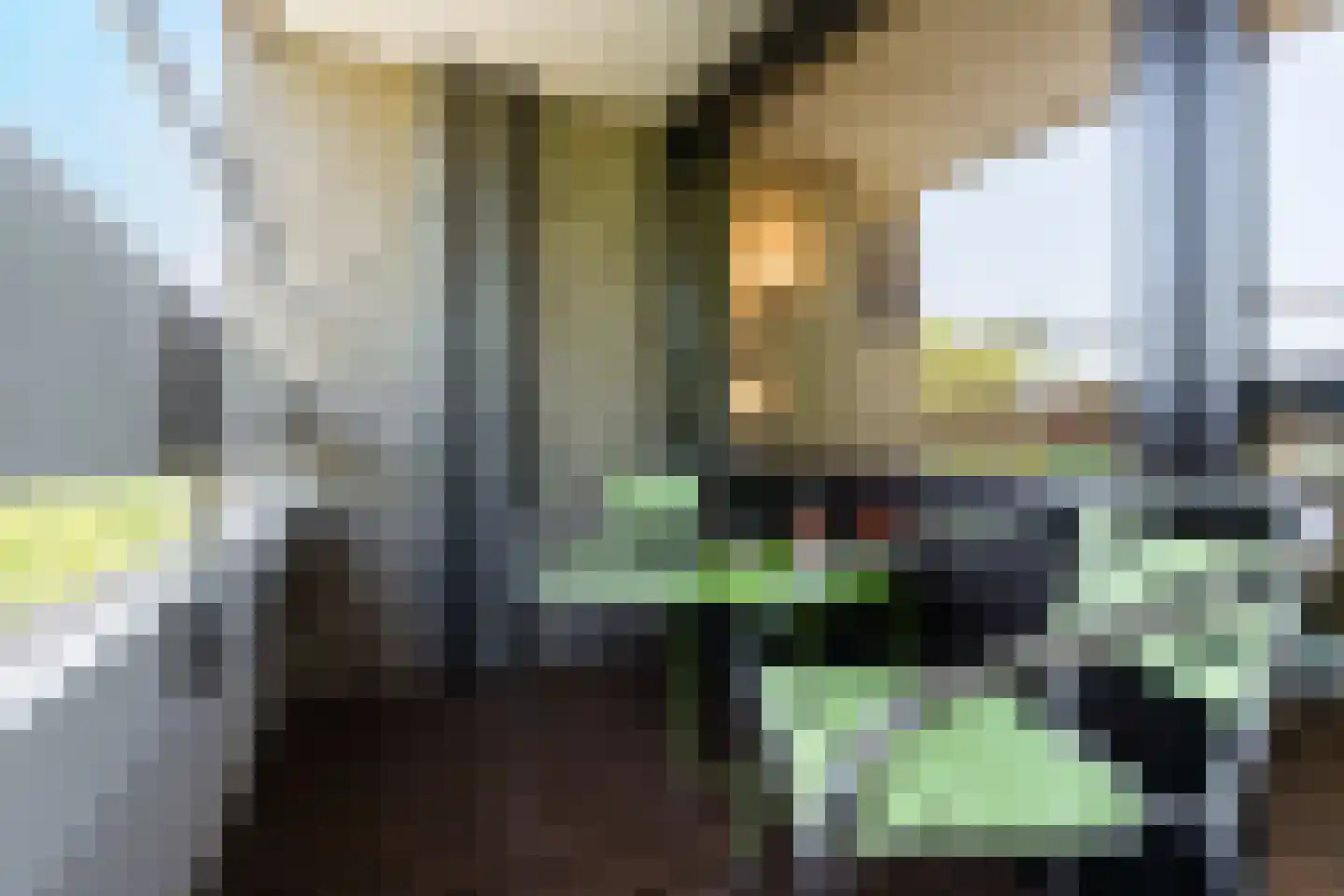 Penelopestraat 77 Eindhoven thumbnail 20