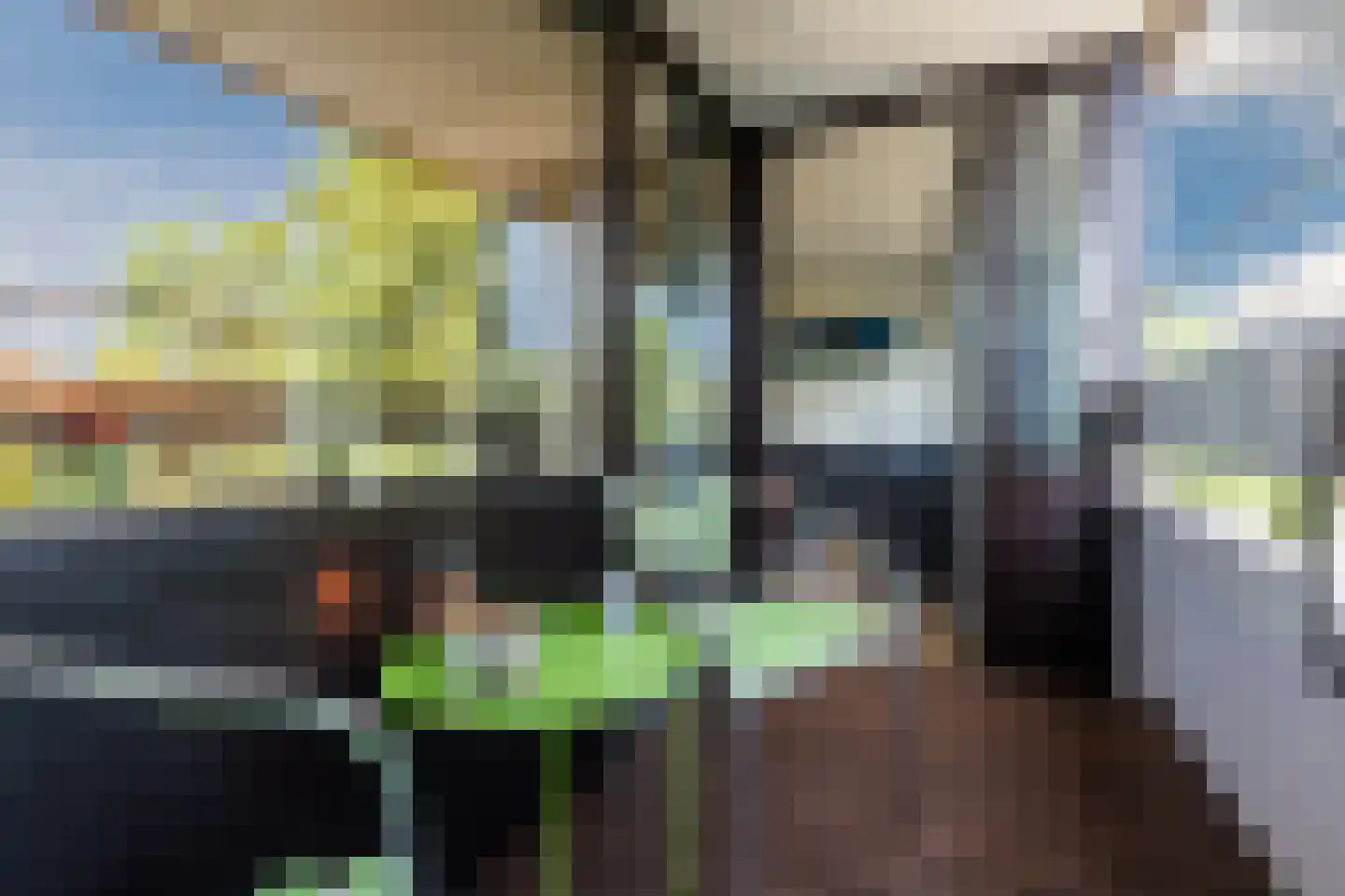 Penelopestraat 77 Eindhoven thumbnail 22