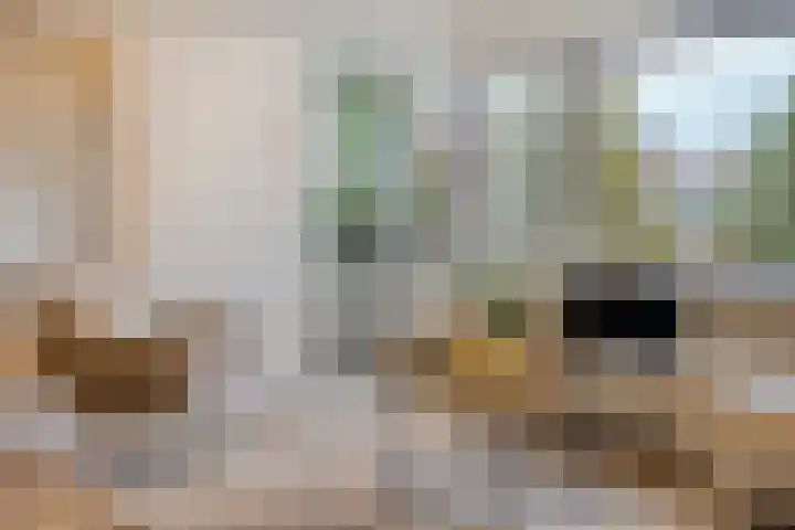 Penelopestraat 79 Eindhoven thumbnail 16