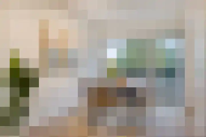 Penelopestraat 79 Eindhoven thumbnail 19