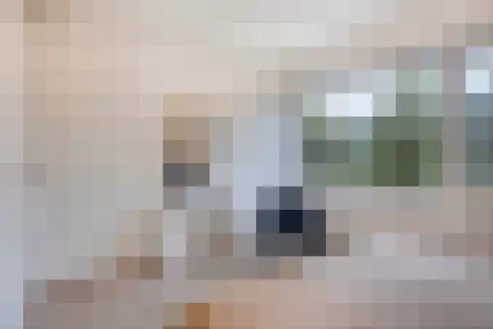 Penelopestraat 79 Eindhoven thumbnail 26
