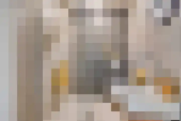 Penelopestraat 79 Eindhoven thumbnail 27