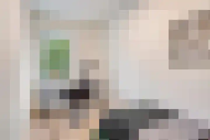 Penelopestraat 79 Eindhoven thumbnail 29