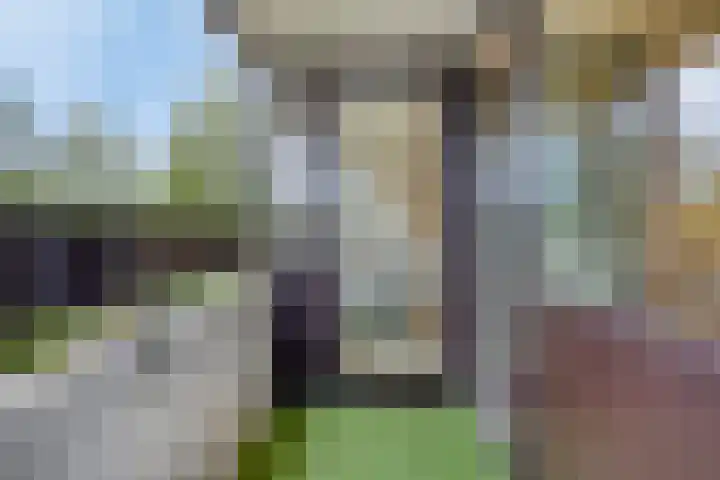 Penelopestraat 79 Eindhoven thumbnail 32