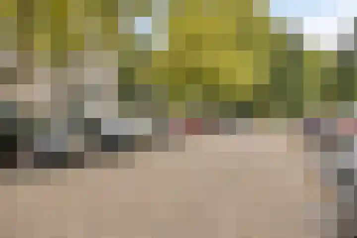 Penelopestraat 79 Eindhoven thumbnail 33