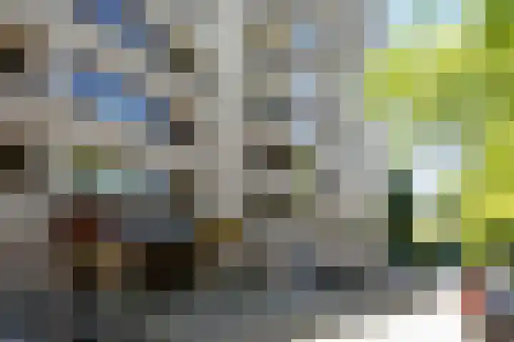 Penelopestraat 79 Eindhoven thumbnail 5