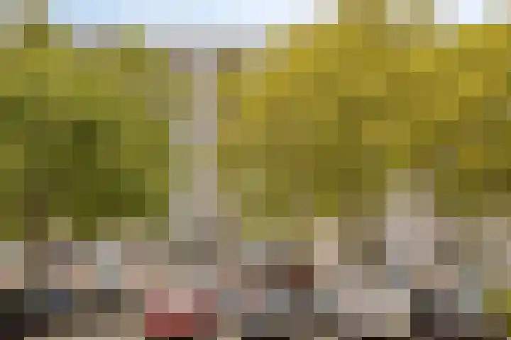 Penelopestraat 79 Eindhoven thumbnail 7