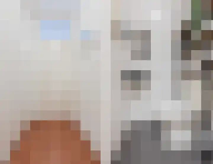 Penelopestraat 95 Eindhoven thumbnail 18