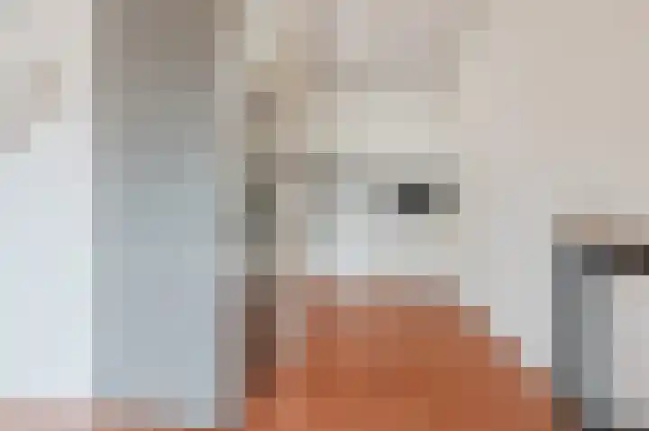 Penelopestraat 95 Eindhoven thumbnail 6