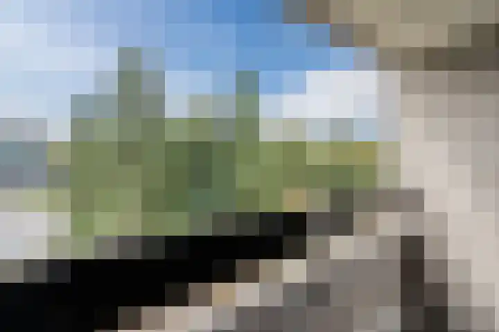 Penelopestraat 95 Eindhoven thumbnail 9