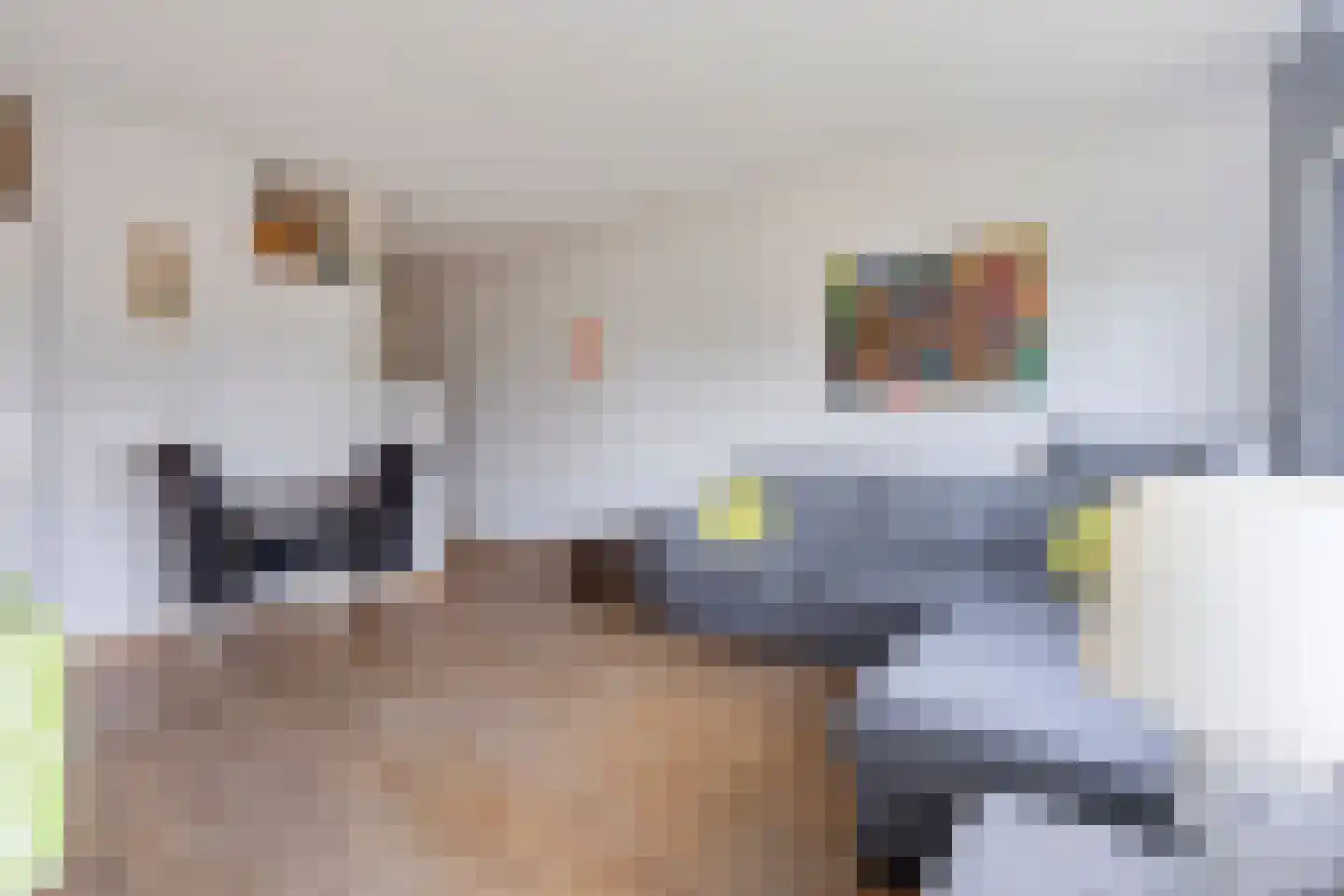 Penelopestraat 97 Eindhoven thumbnail 17