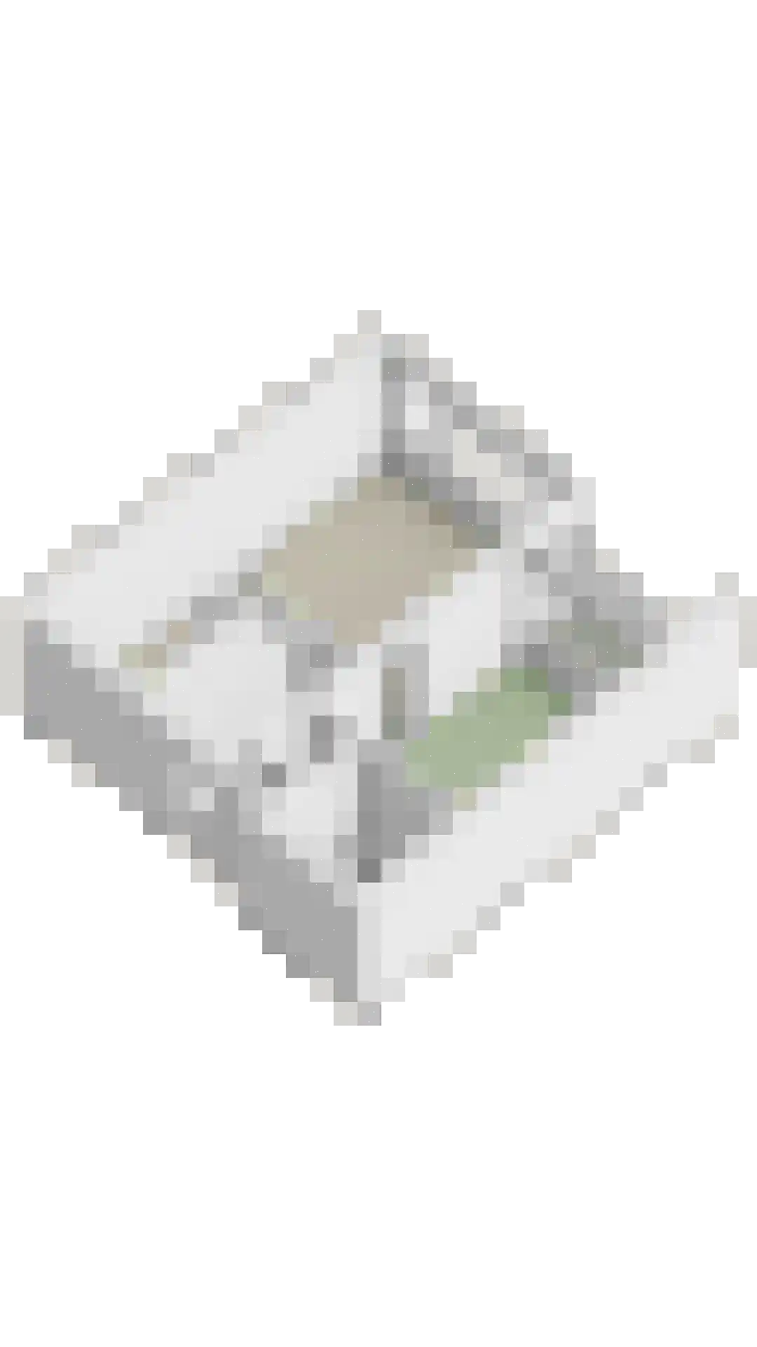 Penelopestraat 97 Eindhoven thumbnail 30