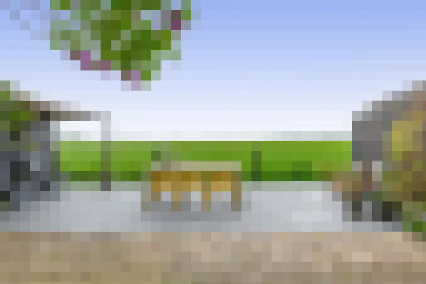 Penhoorn 52 Middenmeer thumbnail 13