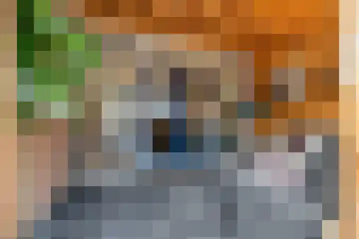 Penhoren 16 Hellevoetsluis thumbnail 47