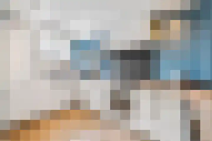 Penhoren 16 Hellevoetsluis thumbnail 5