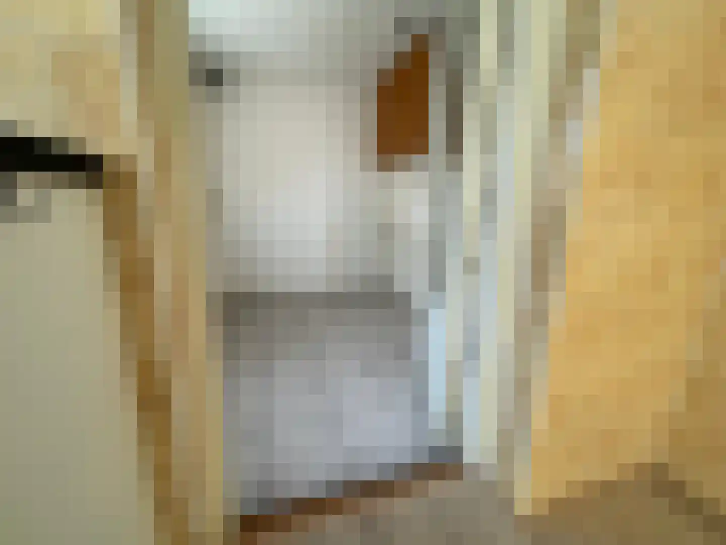 Penhoren 4 Swifterbant thumbnail 11