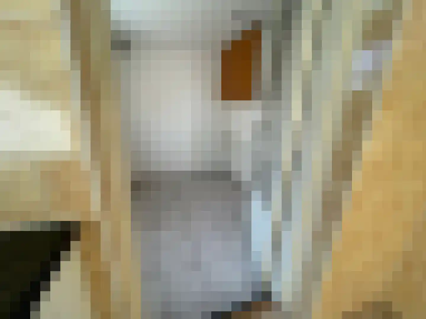 Penhoren 4 Swifterbant thumbnail 12