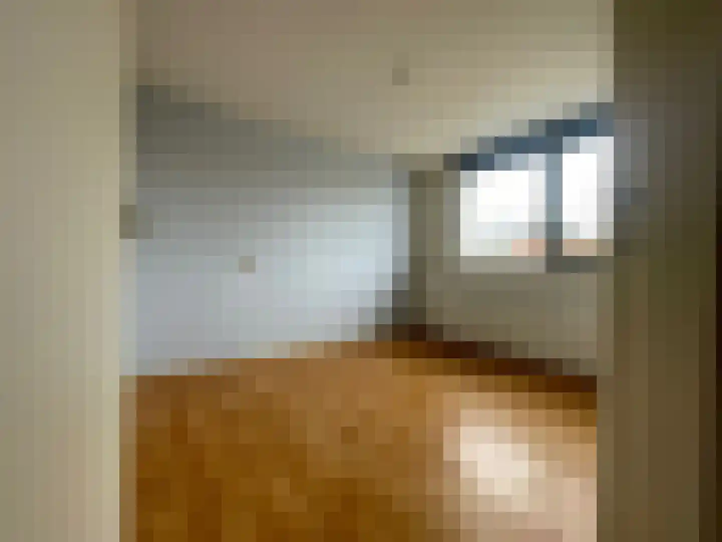 Penhoren 4 Swifterbant thumbnail 13