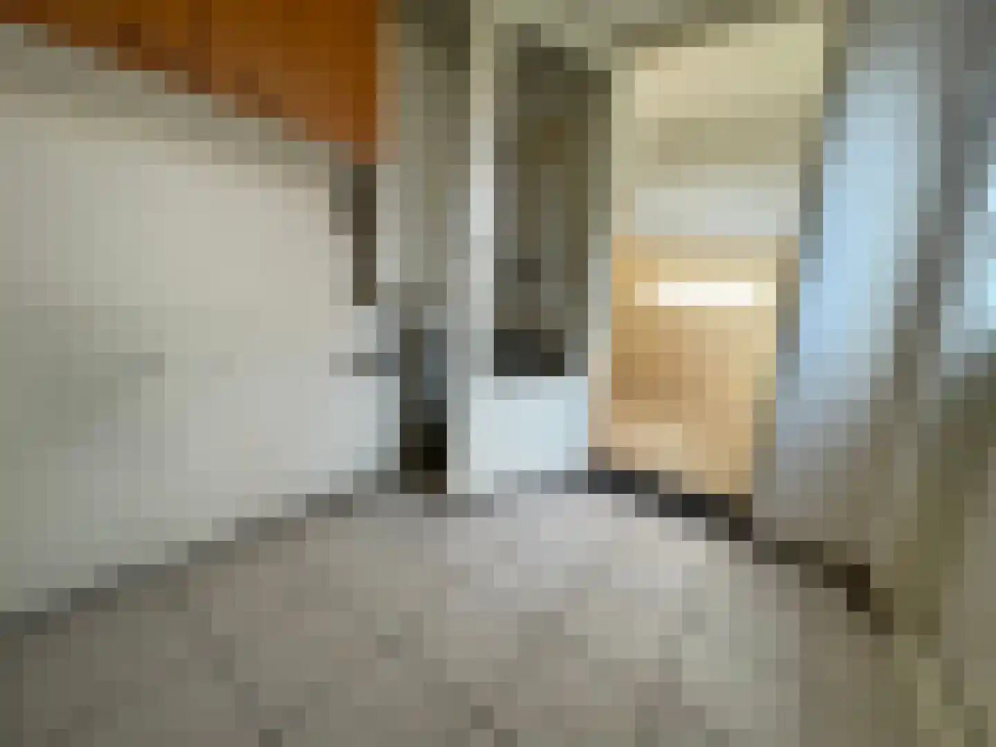 Penhoren 4 Swifterbant thumbnail 16