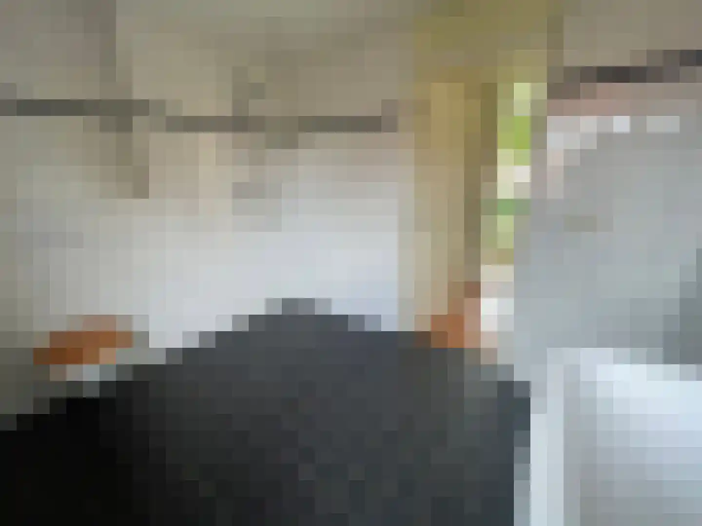 Penhoren 4 Swifterbant thumbnail 19
