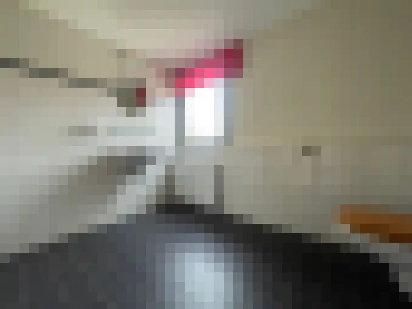 Penhoren 4 Swifterbant thumbnail 21