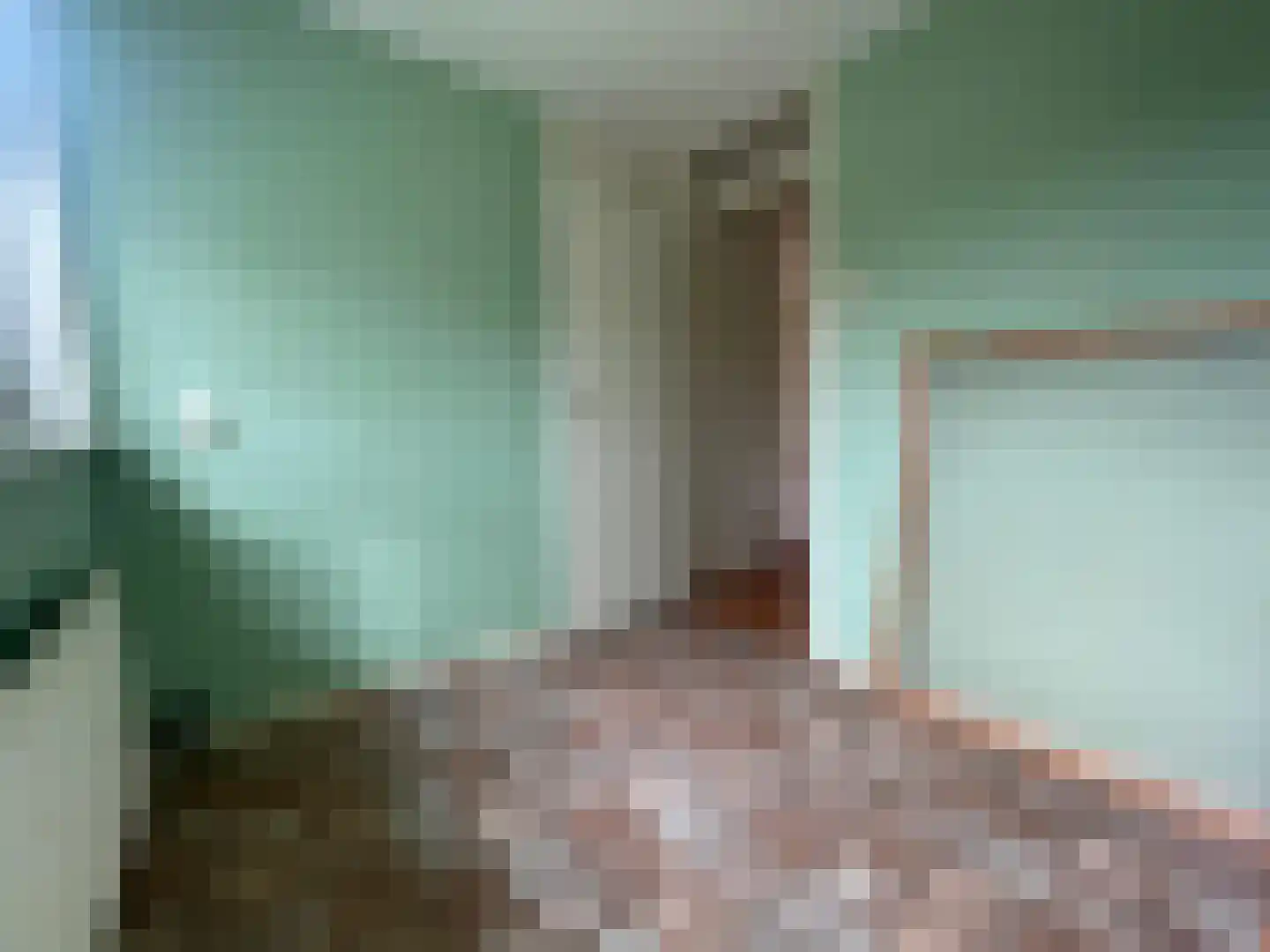 Penhoren 4 Swifterbant thumbnail 23