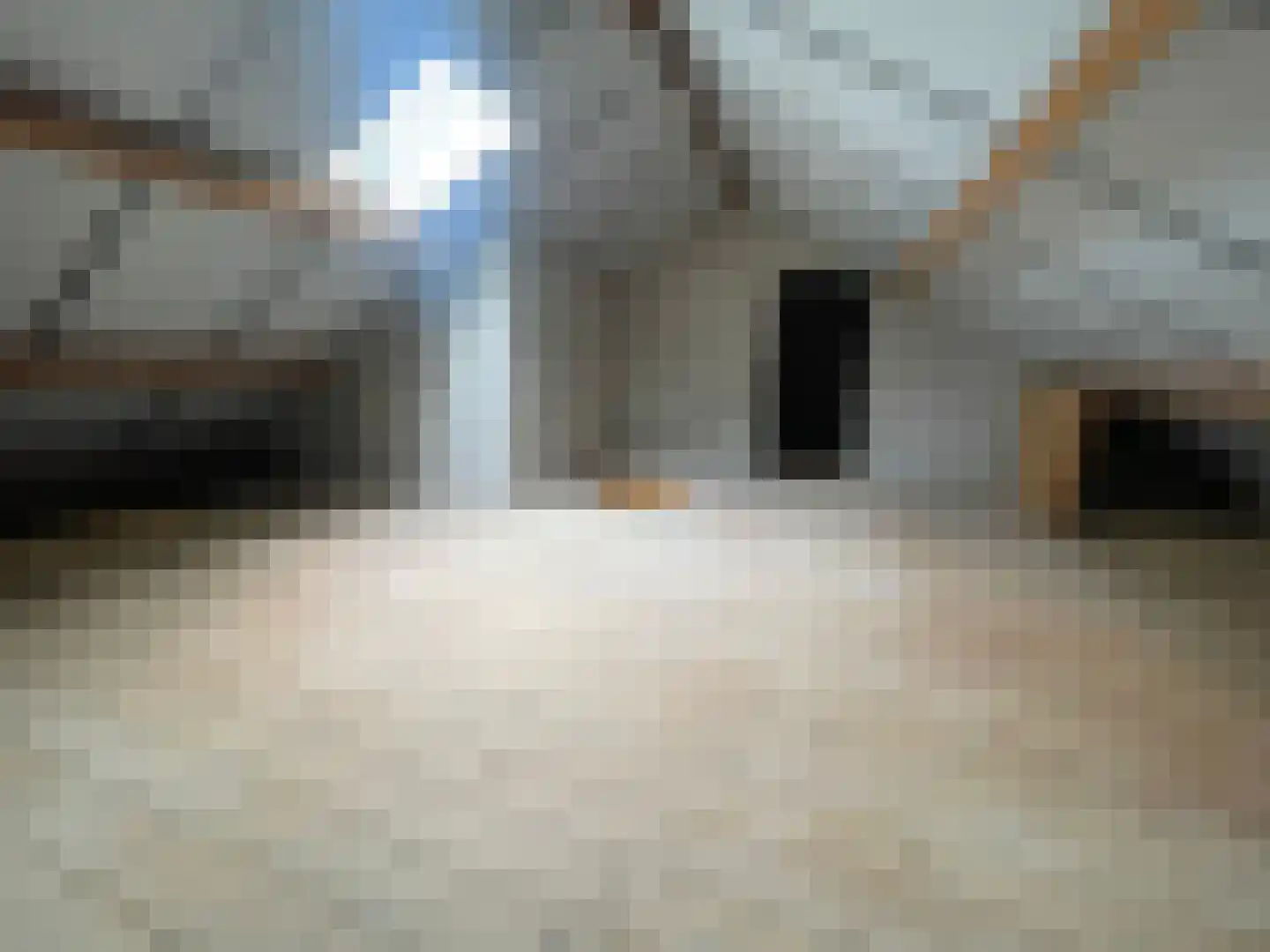 Penhoren 4 Swifterbant thumbnail 25