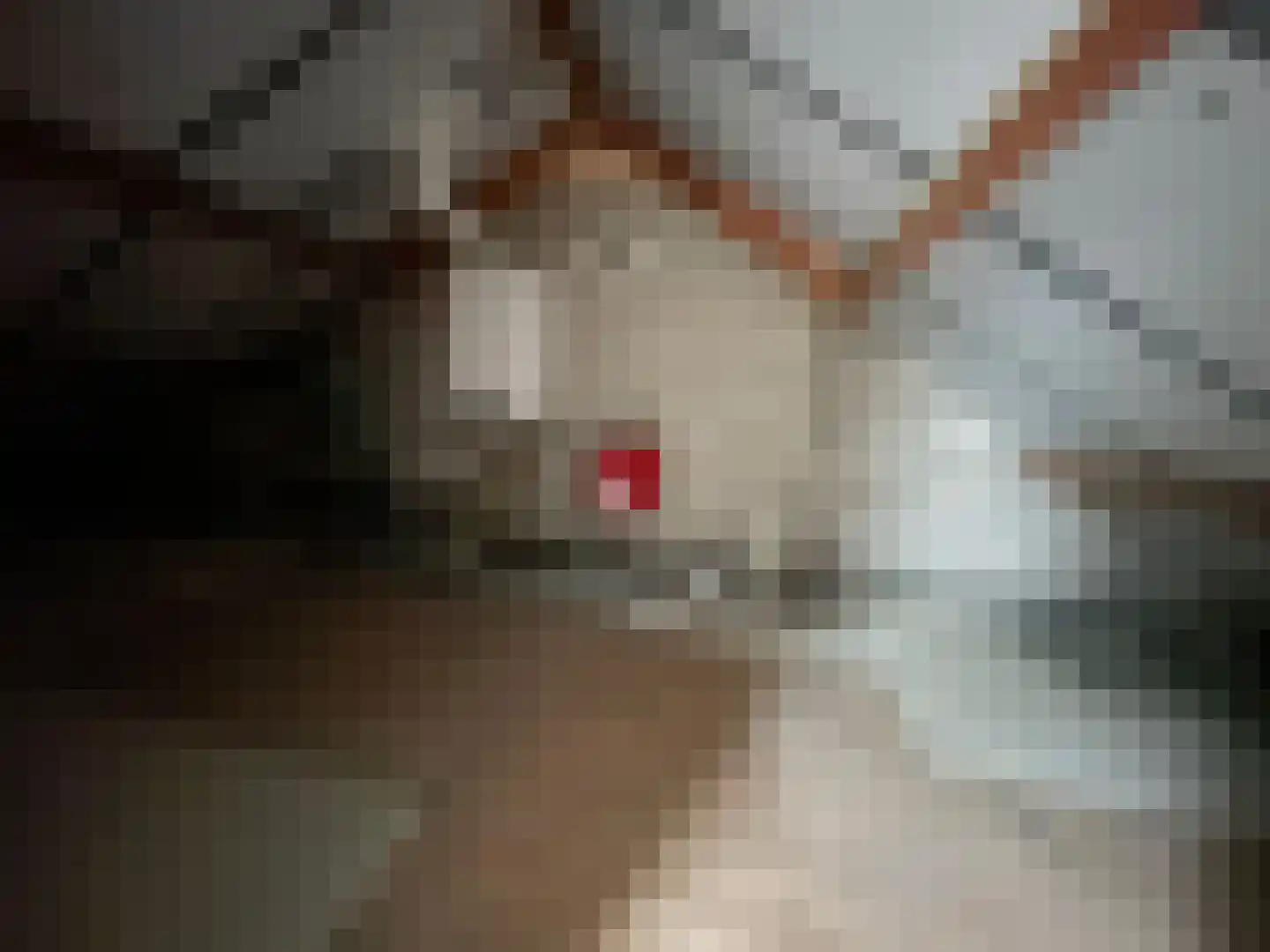 Penhoren 4 Swifterbant thumbnail 26