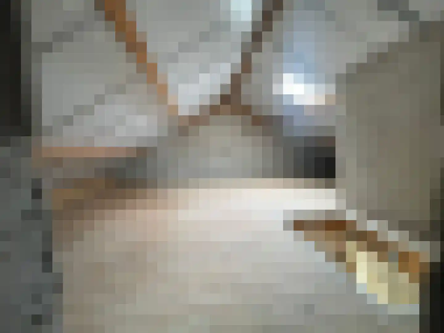 Penhoren 4 Swifterbant thumbnail 27