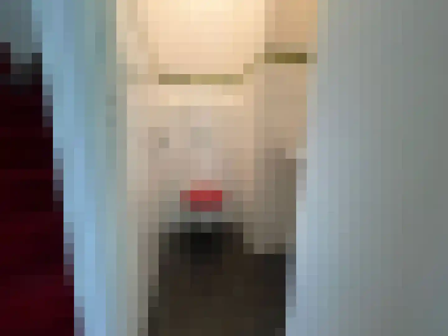 Penhoren 4 Swifterbant thumbnail 28