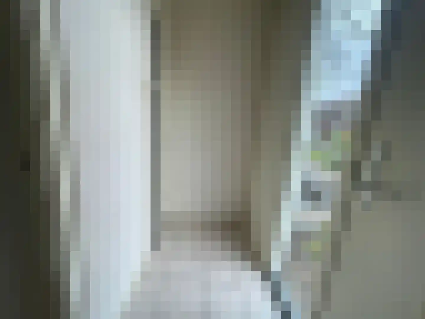 Penhoren 4 Swifterbant thumbnail 4