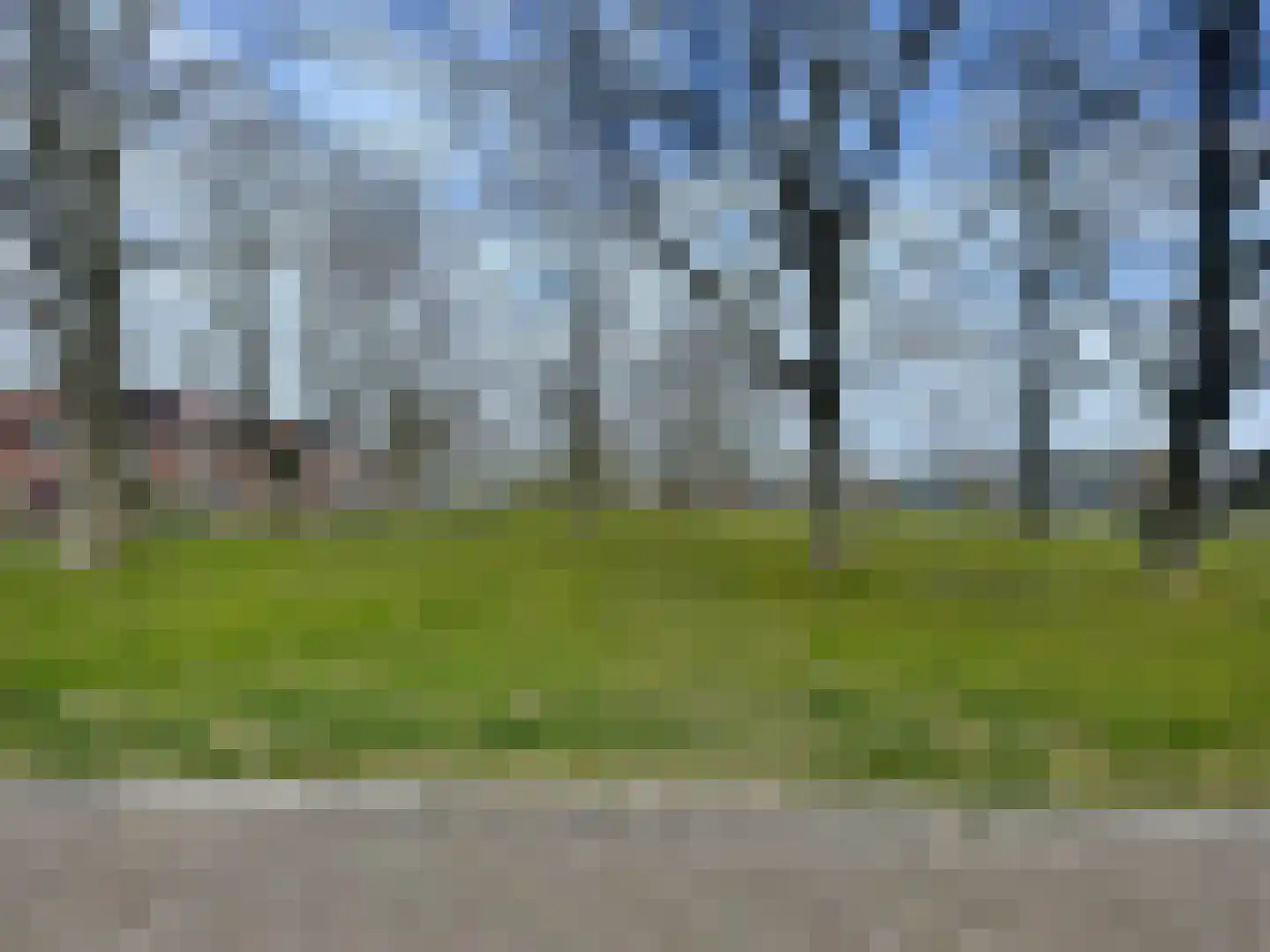 Penhoren 4 Swifterbant thumbnail 43
