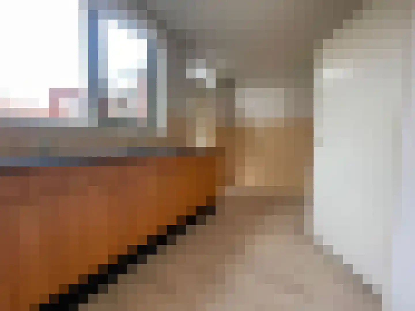 Penhoren 4 Swifterbant thumbnail 5