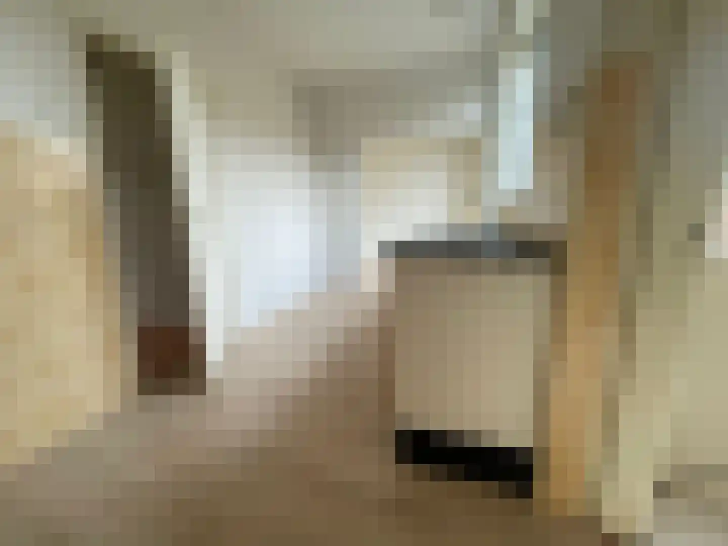 Penhoren 4 Swifterbant thumbnail 6