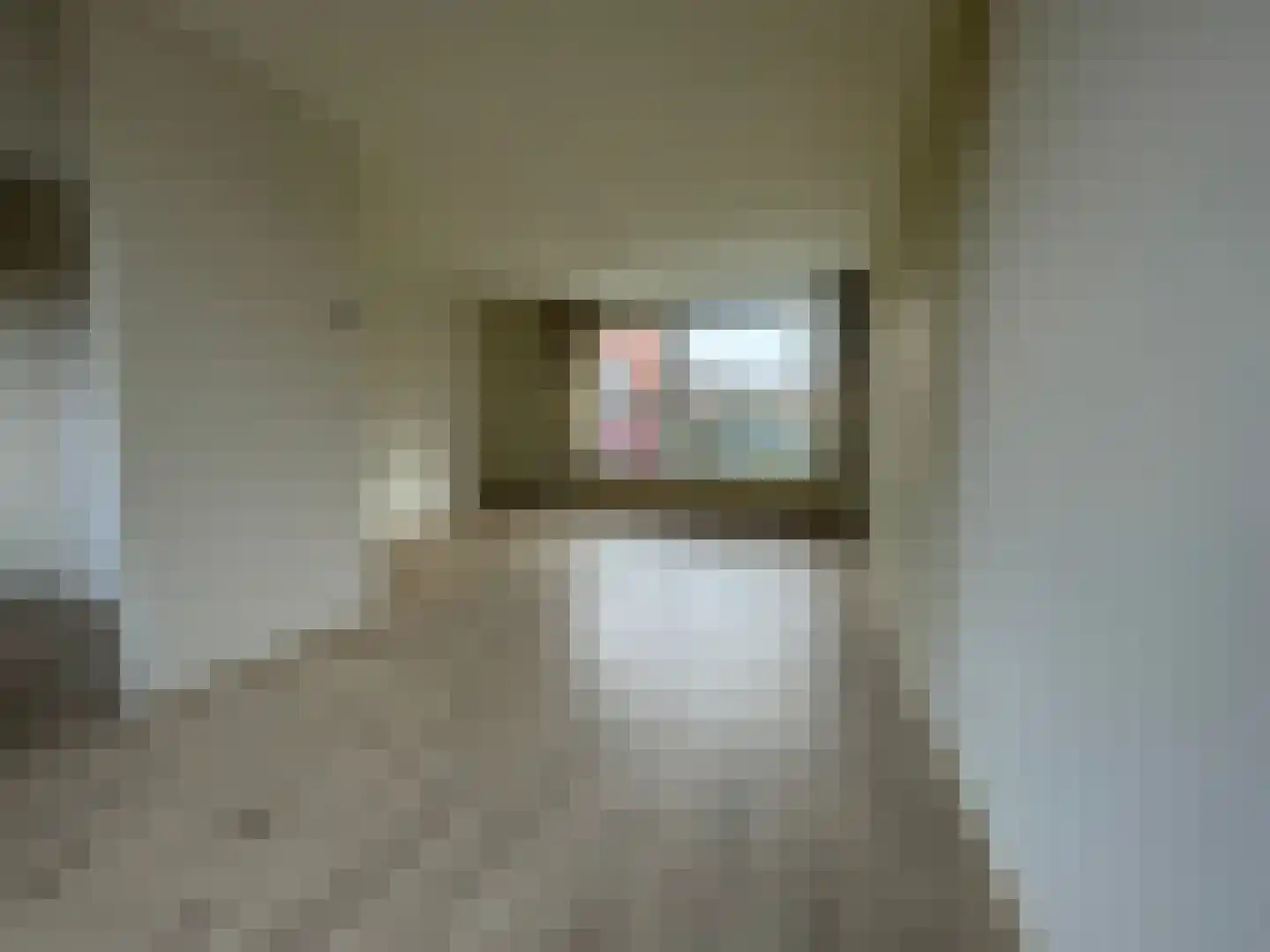 Penhoren 4 Swifterbant thumbnail 7