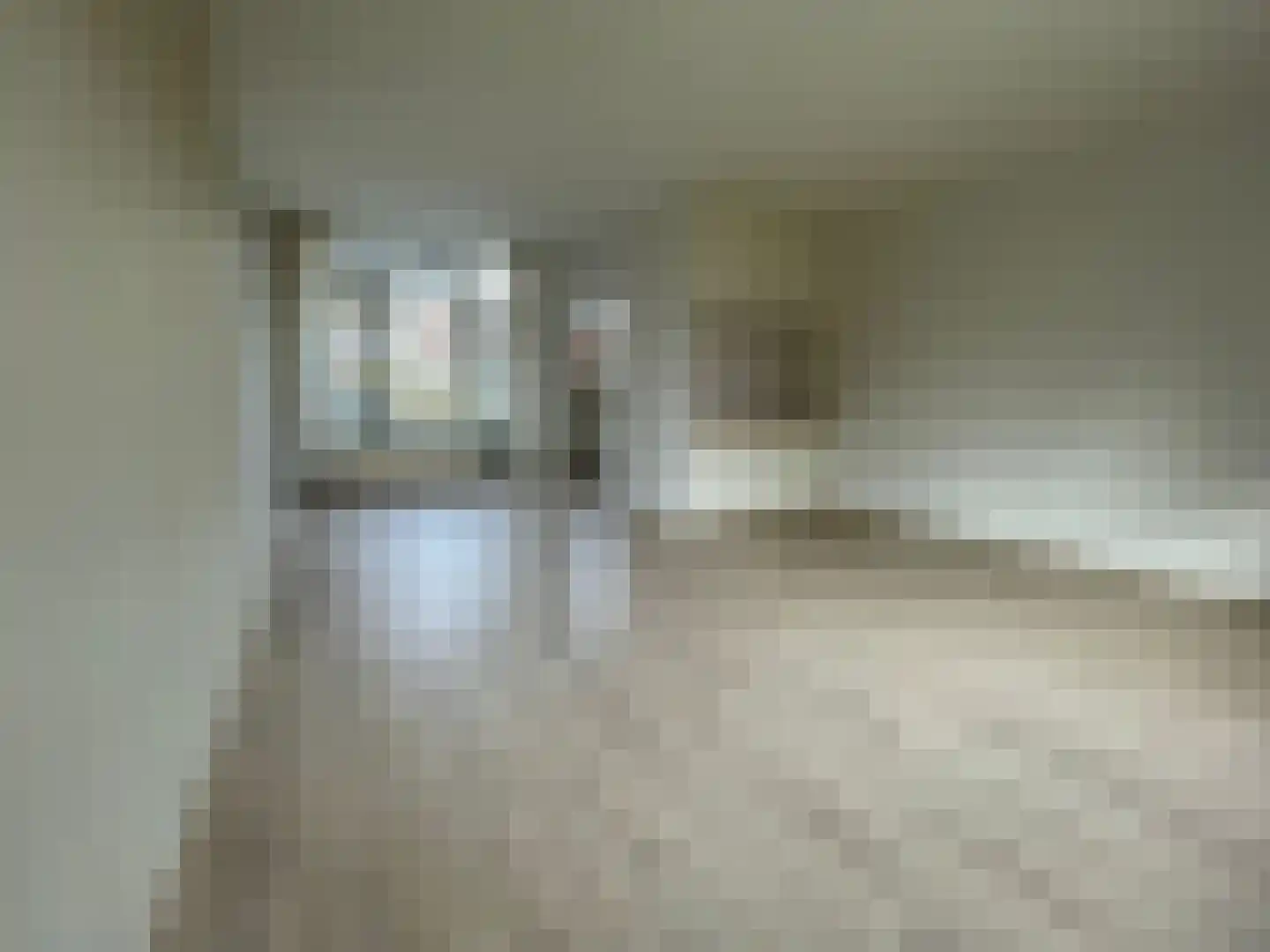 Penhoren 4 Swifterbant thumbnail 8