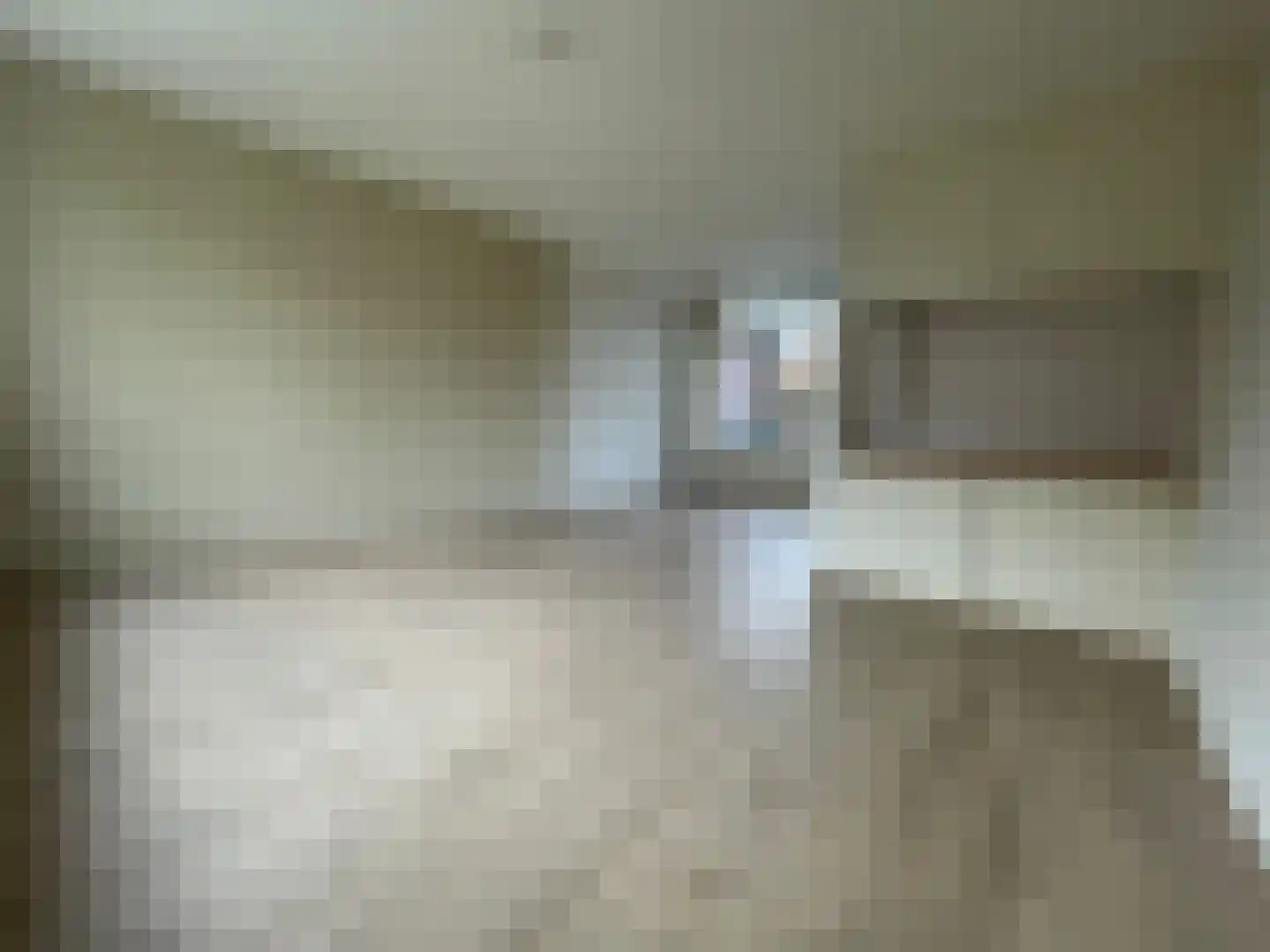 Penhoren 4 Swifterbant thumbnail 9