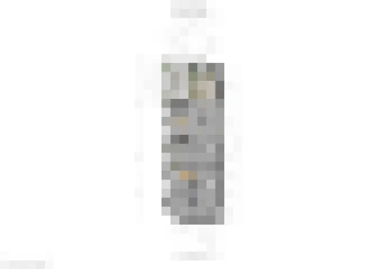 Penitentenstraat 17 D 2 Weert thumbnail 41