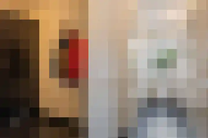 Penitentenstraat 2 Weert thumbnail 23
