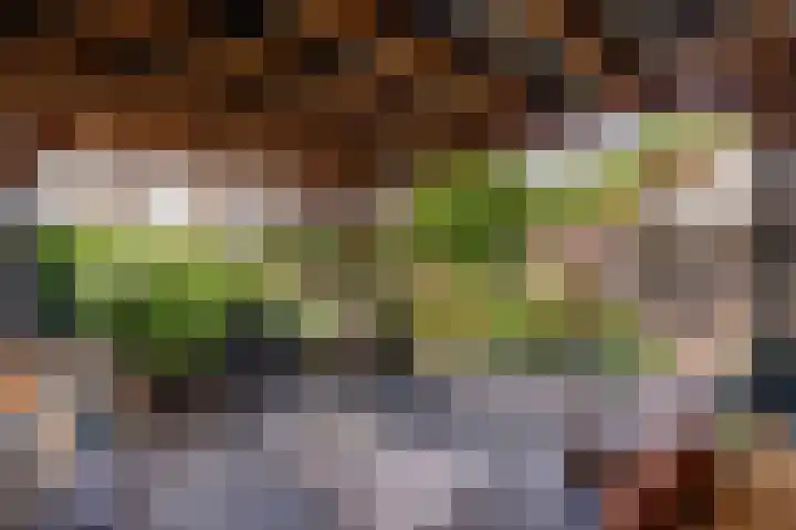 Penitentenstraat 2 Weert thumbnail 5