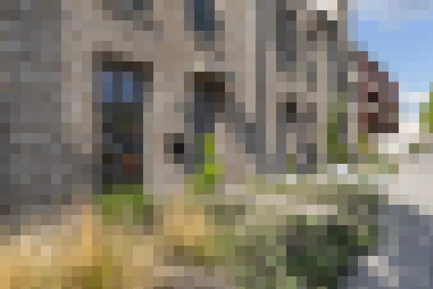 Penitentenstraat 27 A Weert thumbnail 8