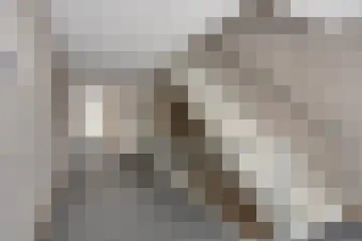 Penitentenstraat 36 Weert thumbnail 7