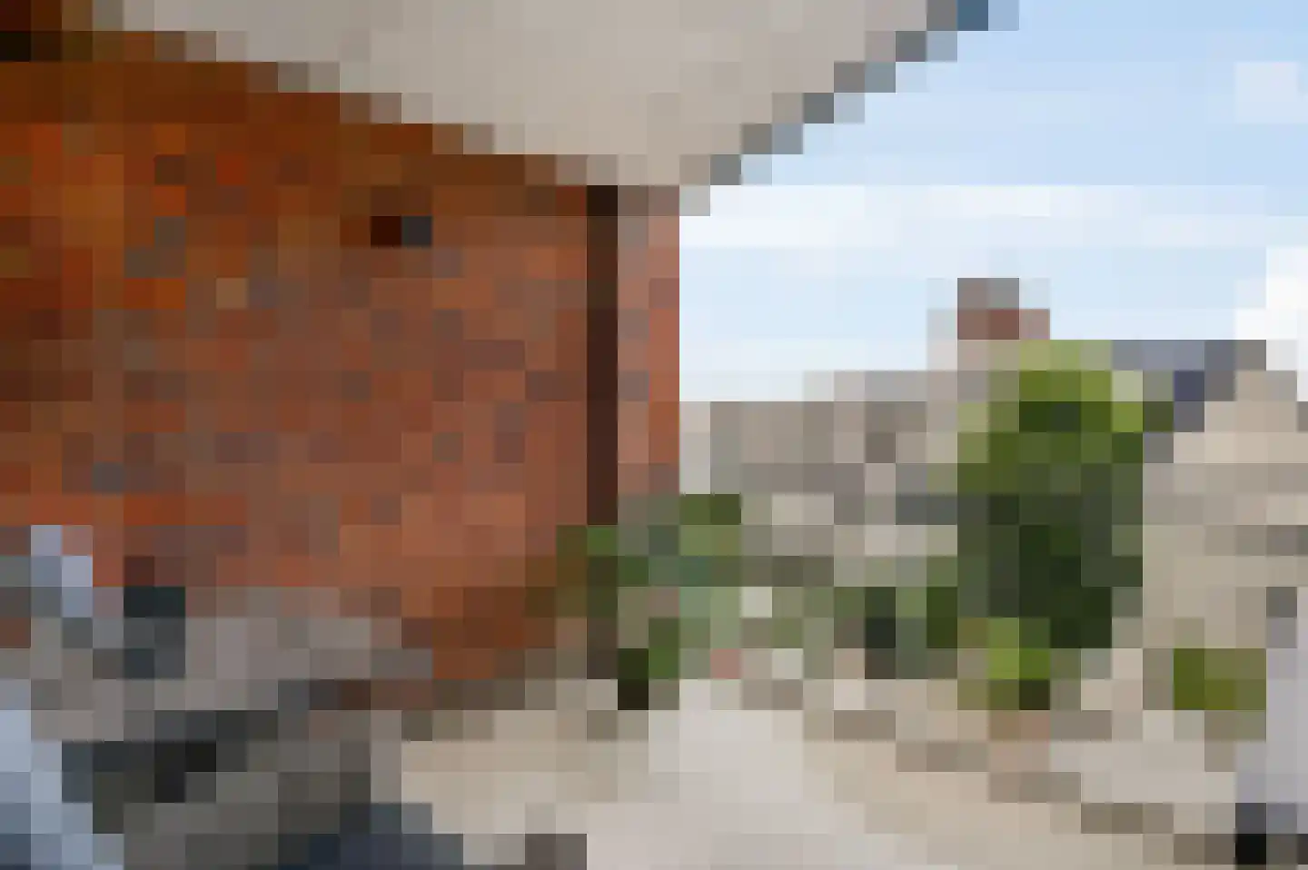 Penitentenstraat 38 Weert thumbnail 25